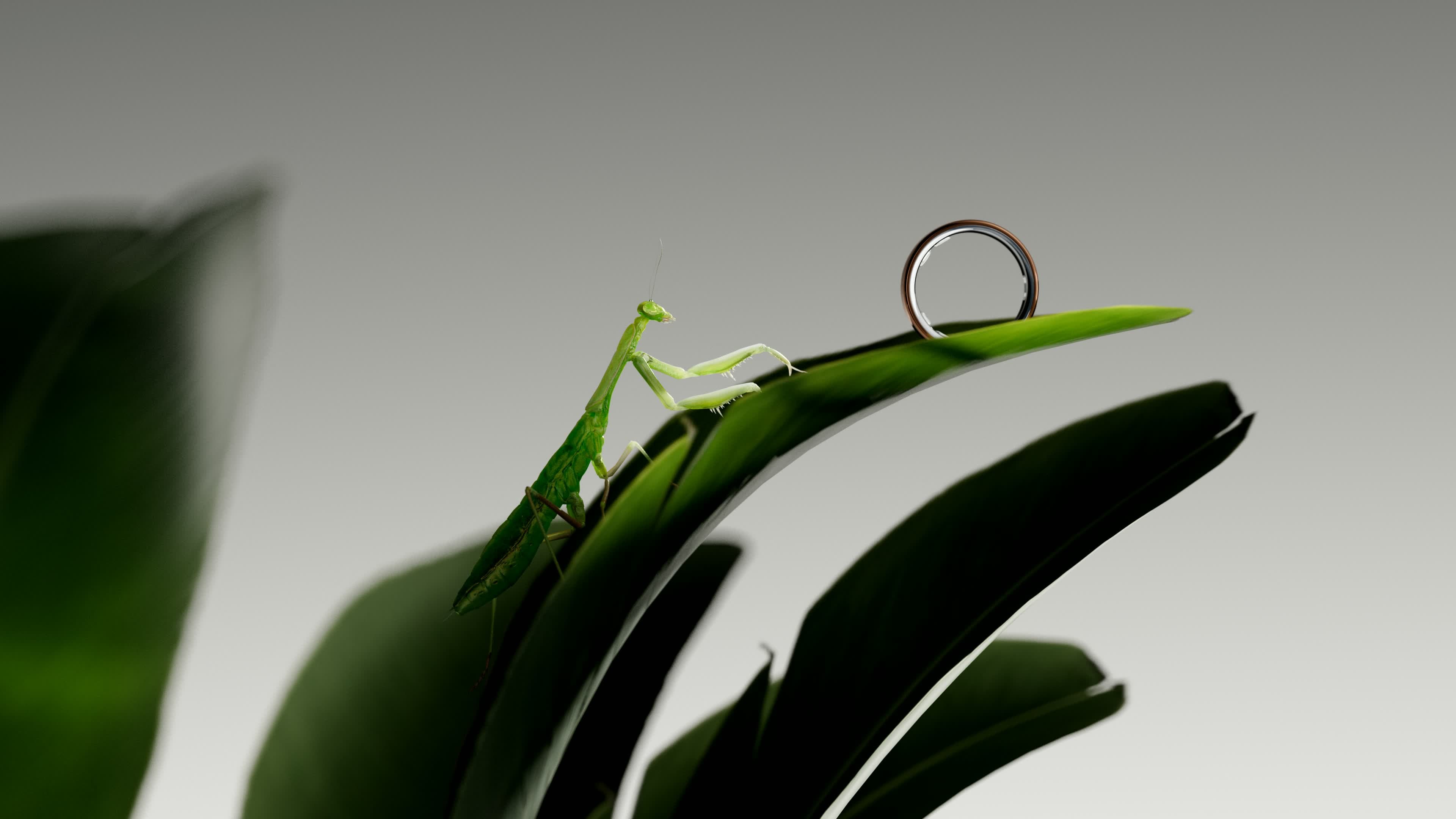 Oura Ring 5 — Commercial (1)