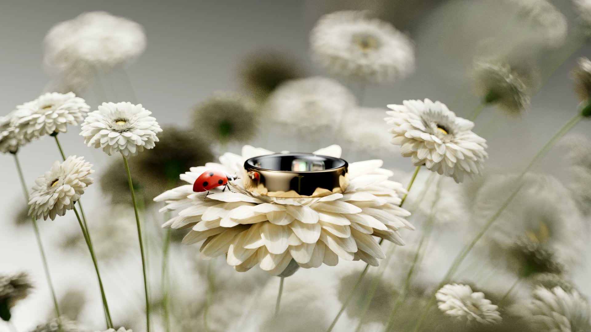 Oura Ring 5 — Commercial (8)